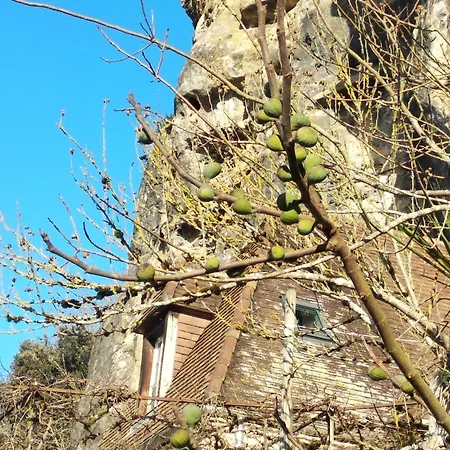 Maison Les Glycines Ferienhaus La Roque-Gageac