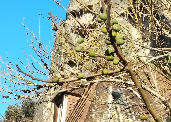 Maison Les Glycines Ferienhaus La Roque-Gageac